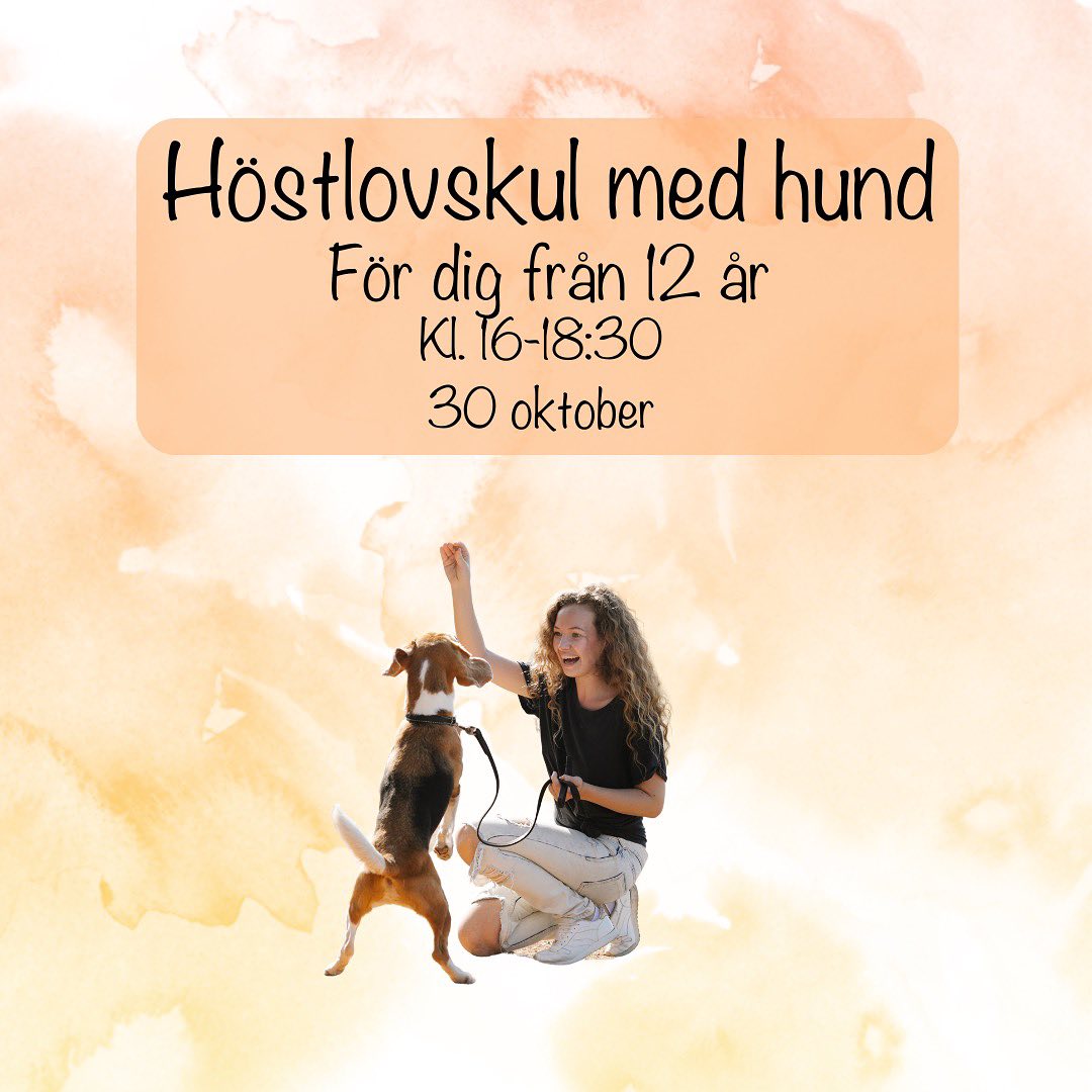 Hundkurser Borås